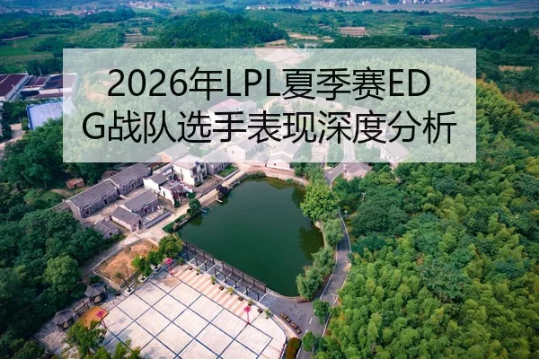 2026年LPL夏季赛EDG战队选手表现深度分析