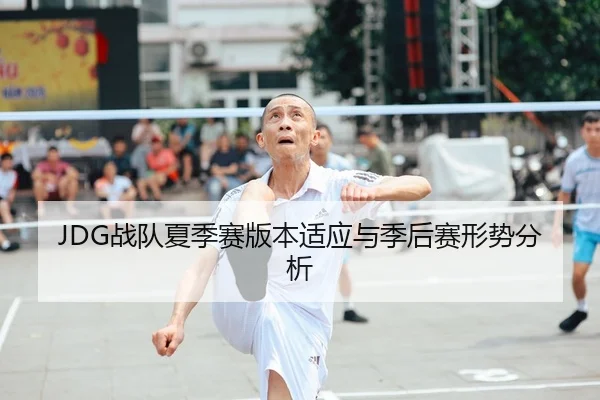 JDG战队夏季赛版本适应与季后赛形势分析