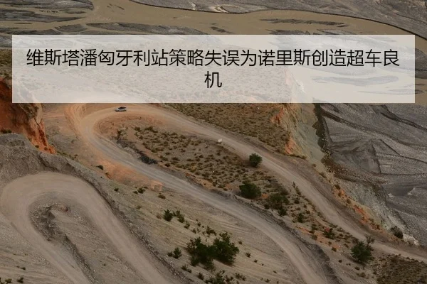 维斯塔潘匈牙利站策略失误为诺里斯创造超车良机